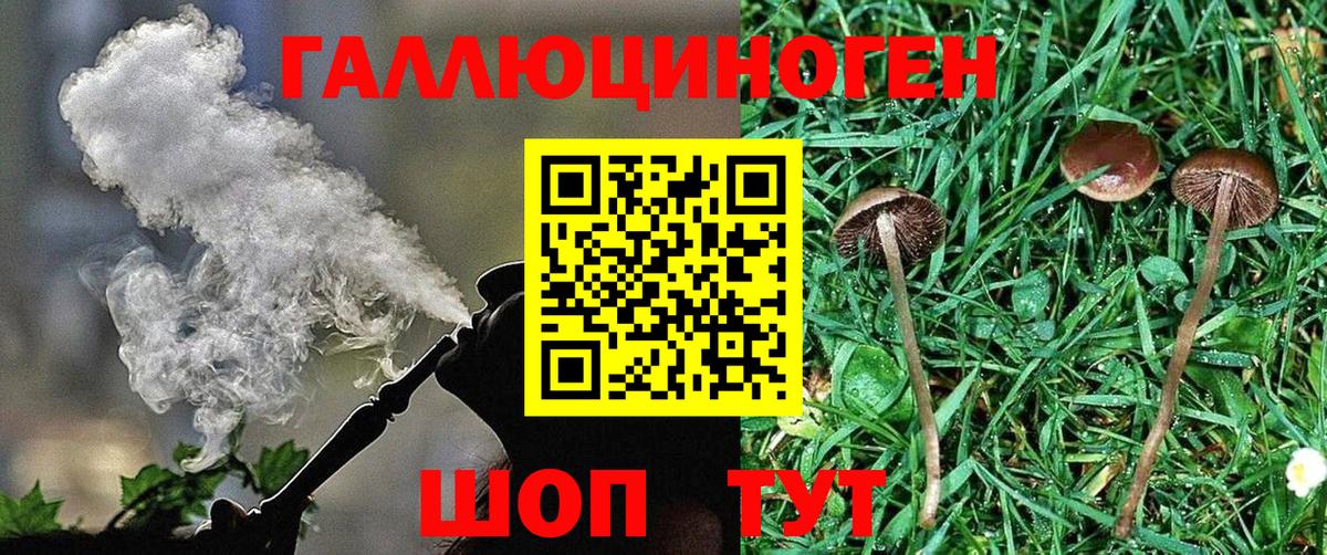 Галлюциногенные грибы ЛСД  Вход с VPN  Троицк 